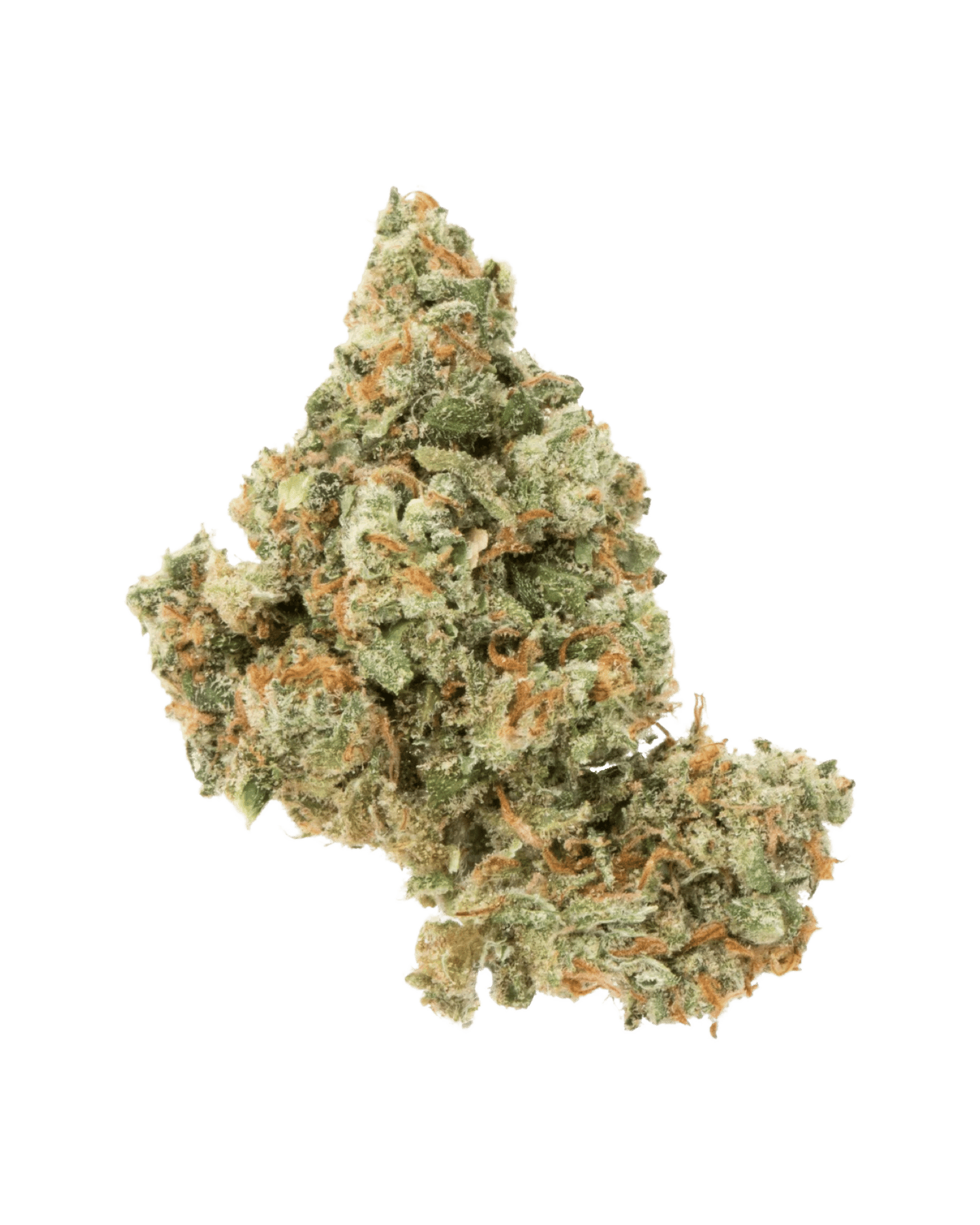 Jack Herer | HOLLYWOOD HITTERS